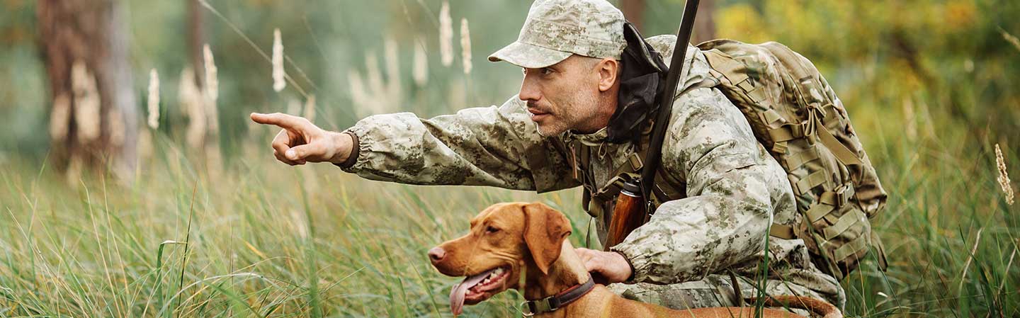 Effekt og anvendelse