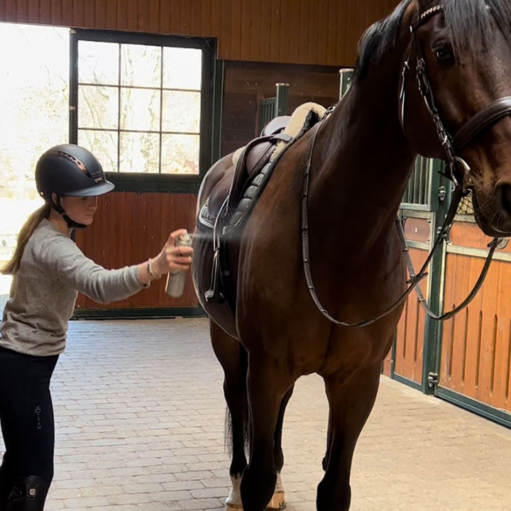 Sådan påfører du Centaura på din hest