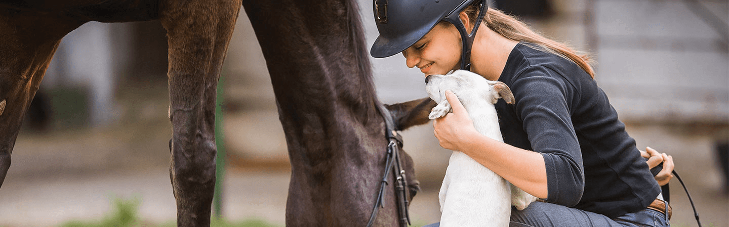 Beskyt hunden, hesten og dig selv mod insekter