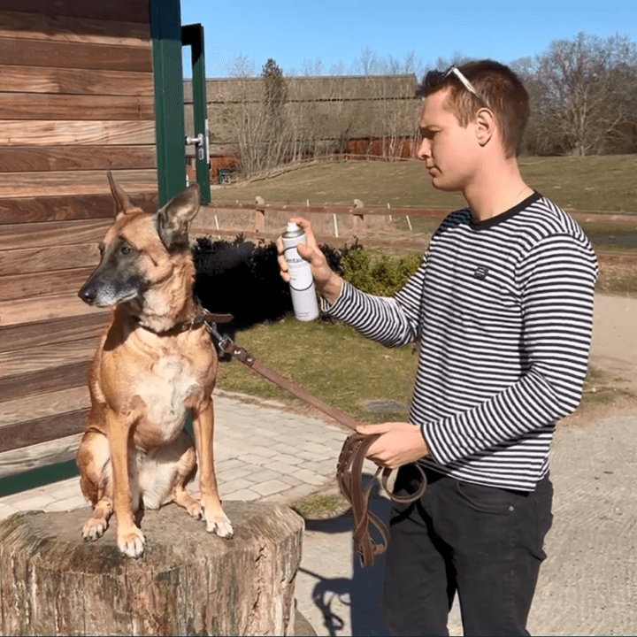 Sådan påfører du Centaura på din hund