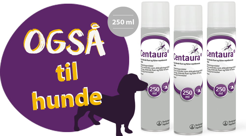 Centaura